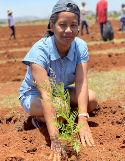 reforestation antananarivo