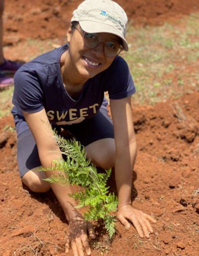 reforestation antananarivo