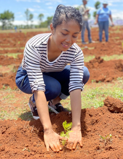 reforestation antananarivo