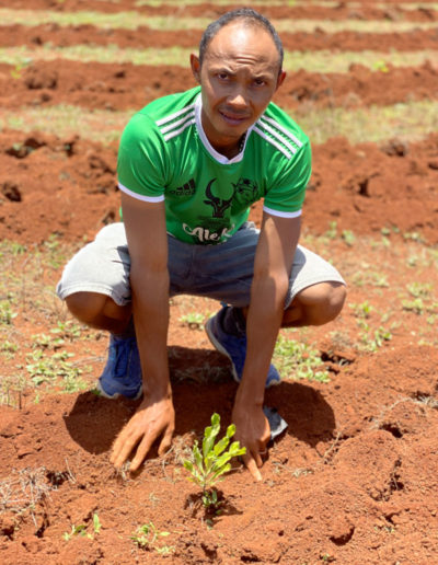 reforestation antananarivo