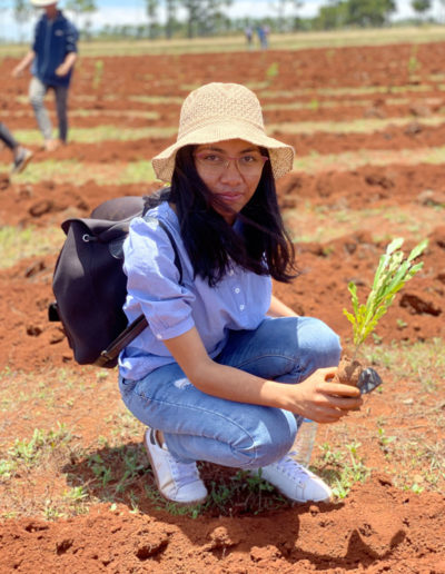 reforestation antananarivo