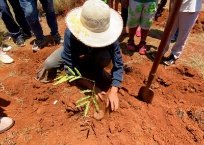 Reboisement madagascar