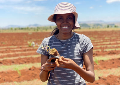 Reboisement madagascar