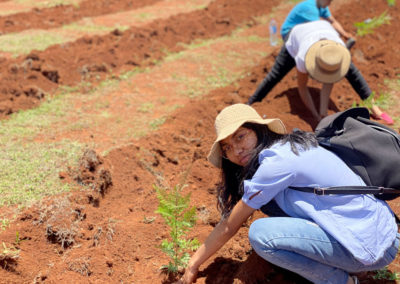 Reboisement madagascar